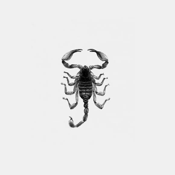 Meet your Posher, Mandy - Picture 6 of 11